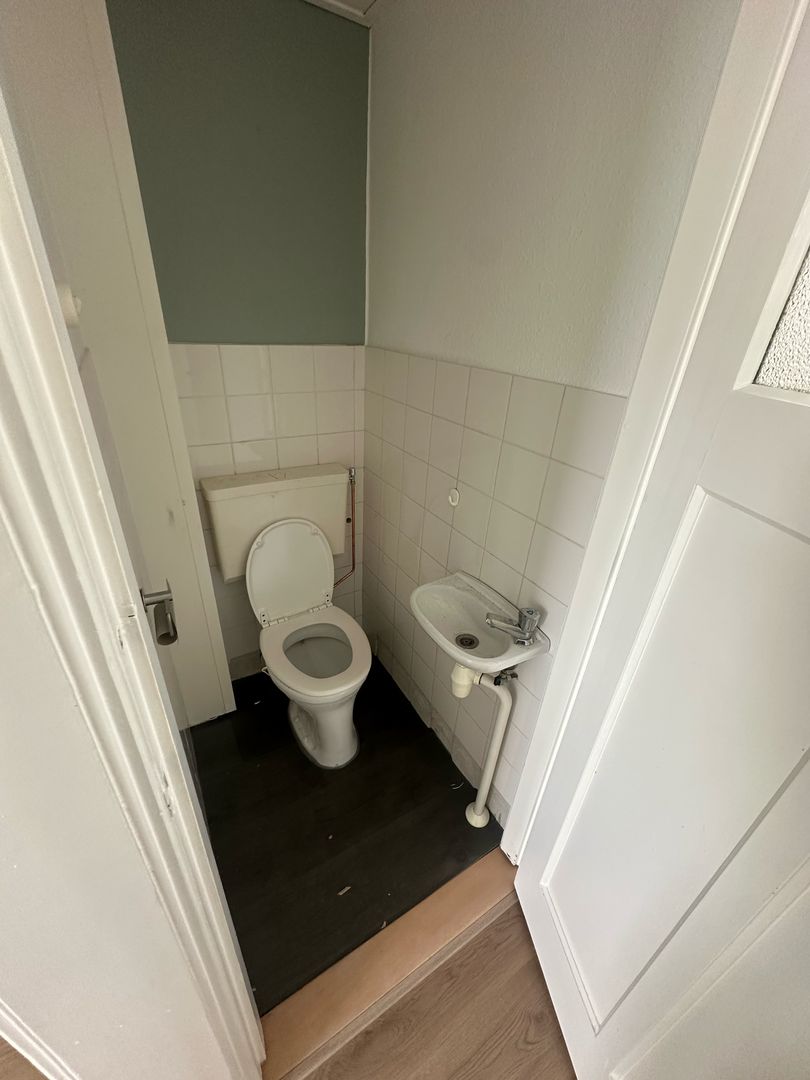 Pippelingstraat, Den Haag foto-7