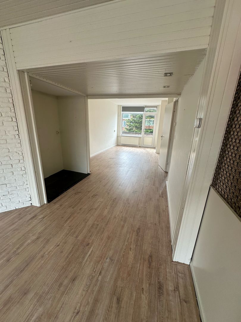 Bosbesstraat, Den Haag foto-3