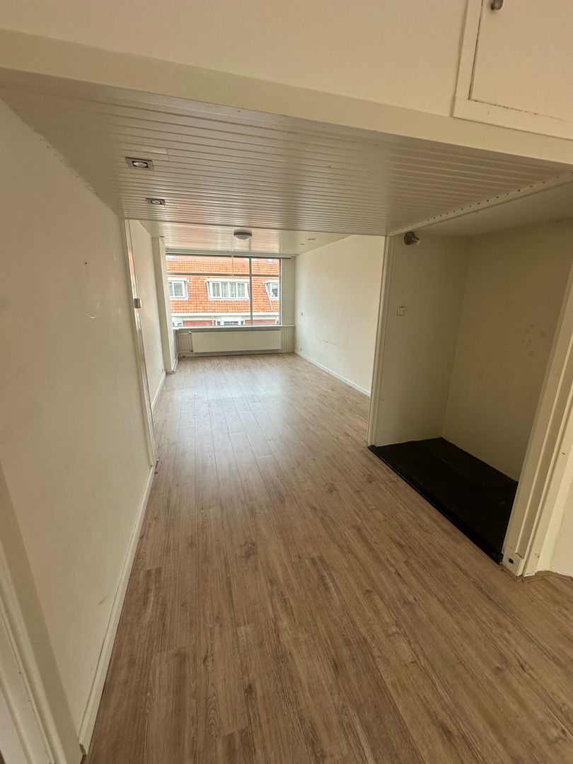 Bosbesstraat, Den Haag foto-2