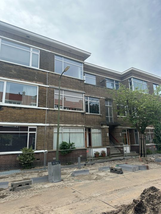 Bosbesstraat, Den Haag