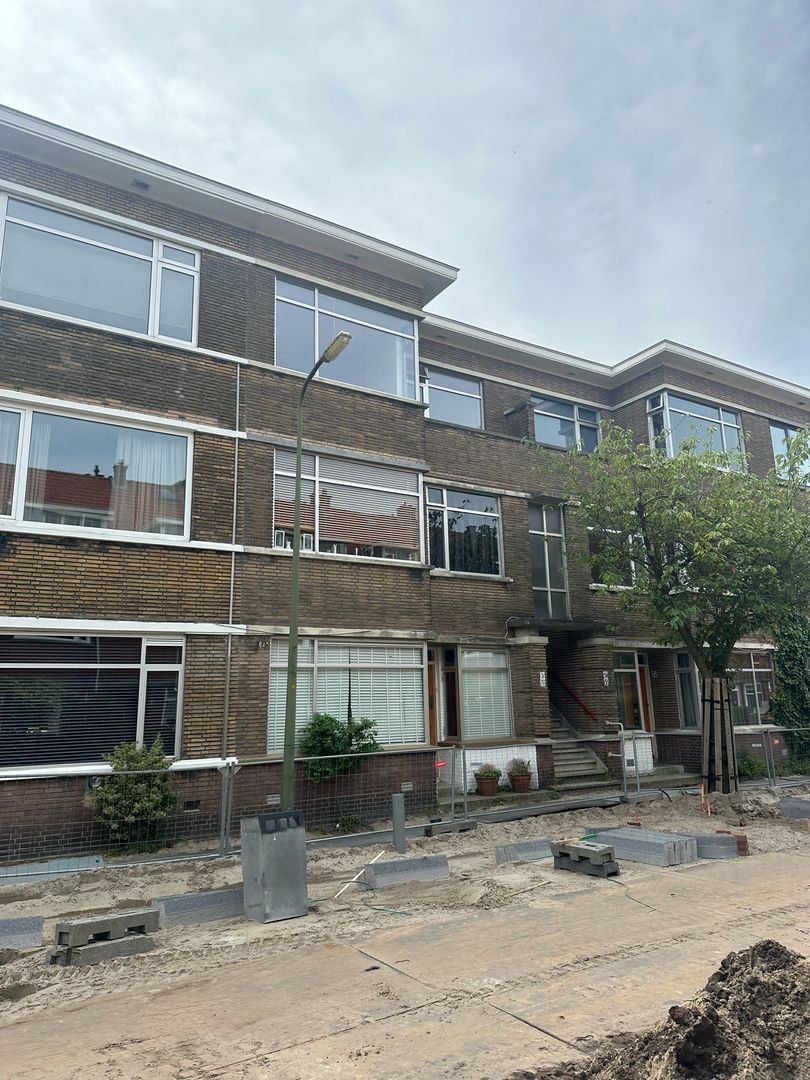 Bosbesstraat, Den Haag foto-0