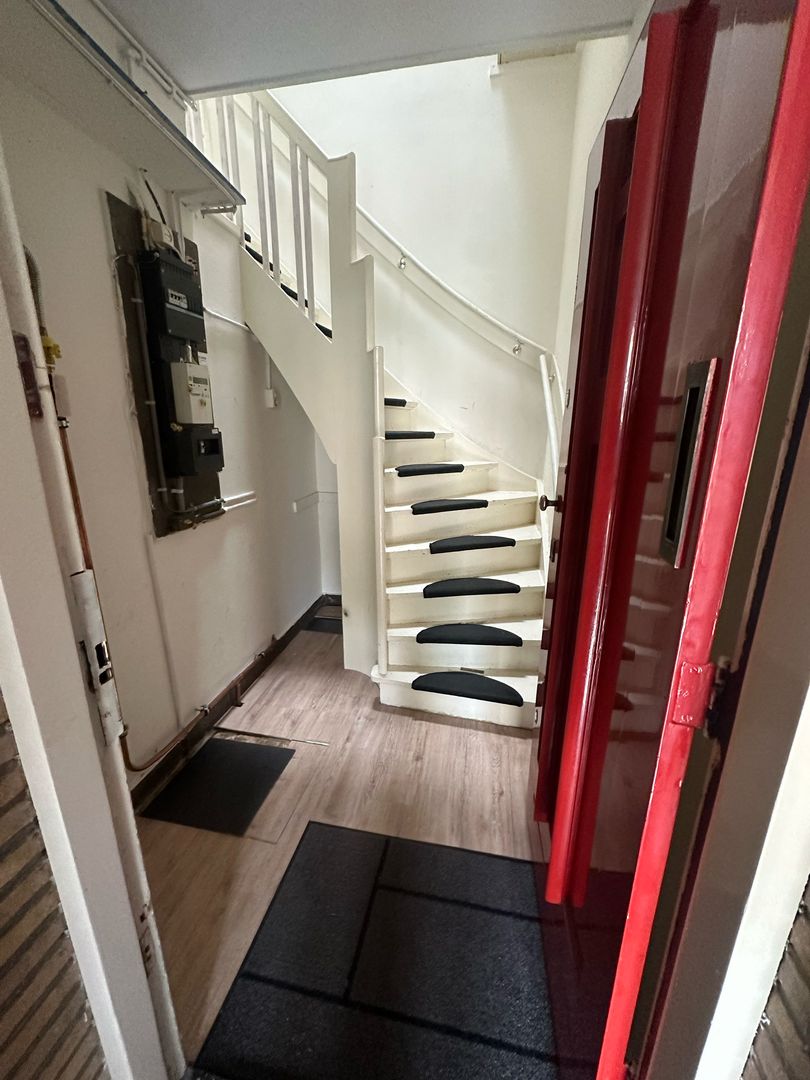 Bosbesstraat, Den Haag foto-1