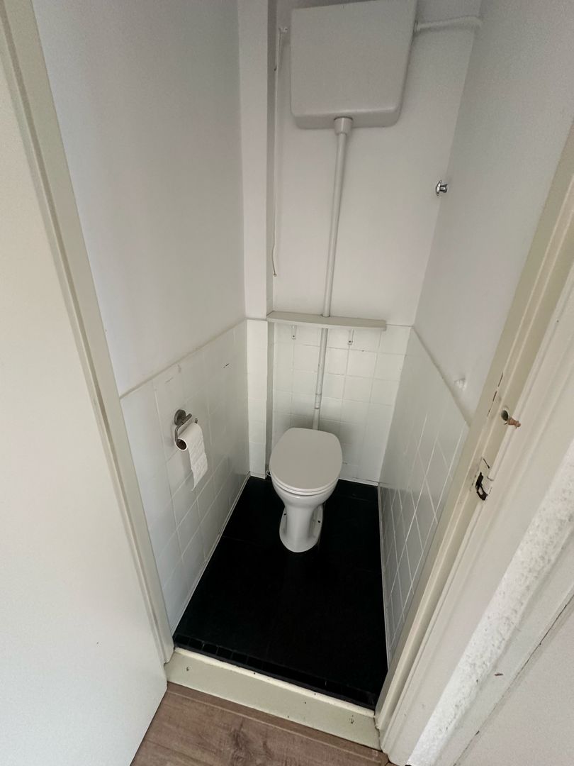 Bosbesstraat, Den Haag foto-8