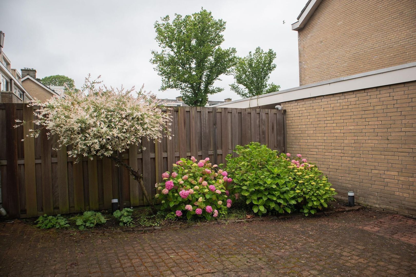 Van Polanenpark, Wassenaar foto-24