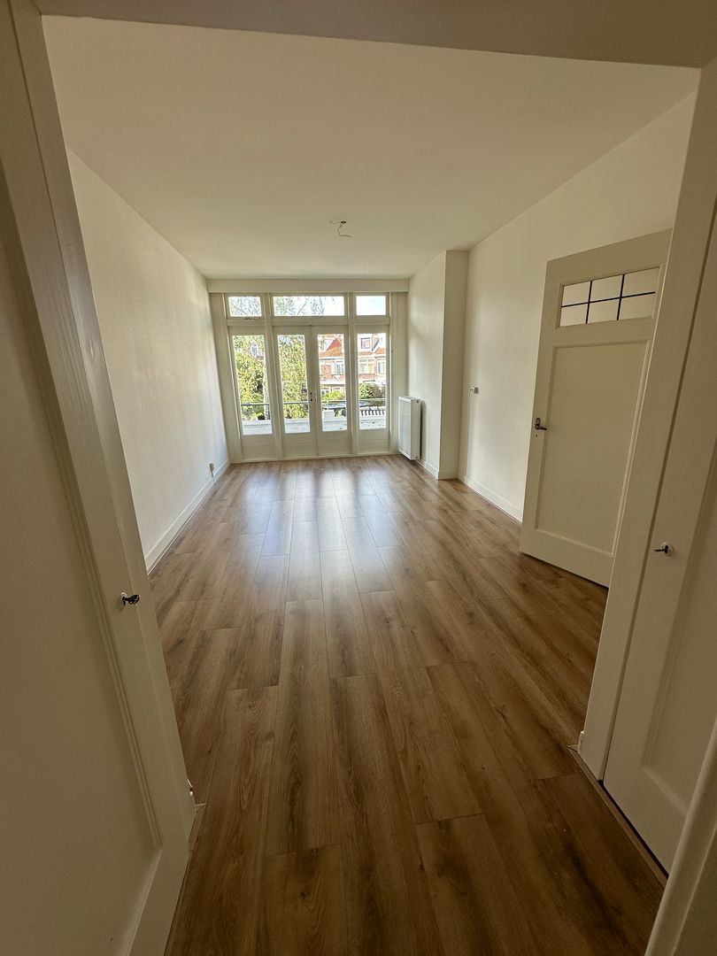 Vreeswijkstraat, Den Haag foto-6