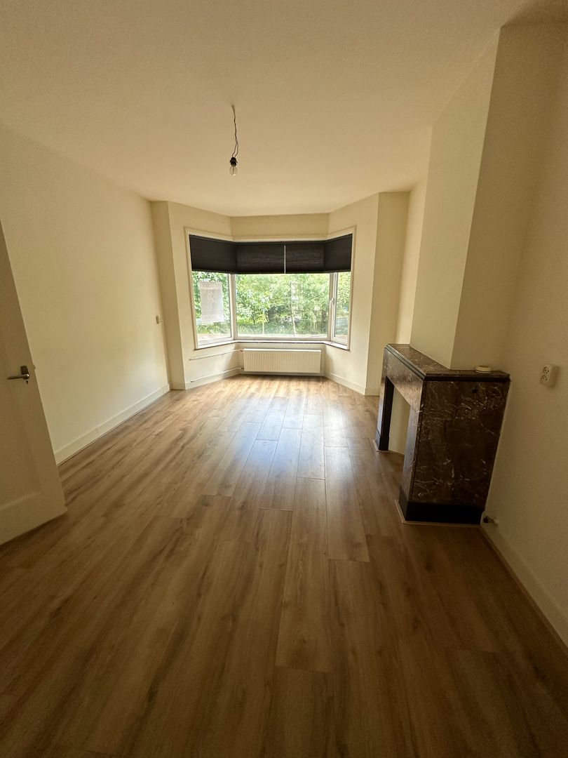 Vreeswijkstraat, Den Haag foto-5