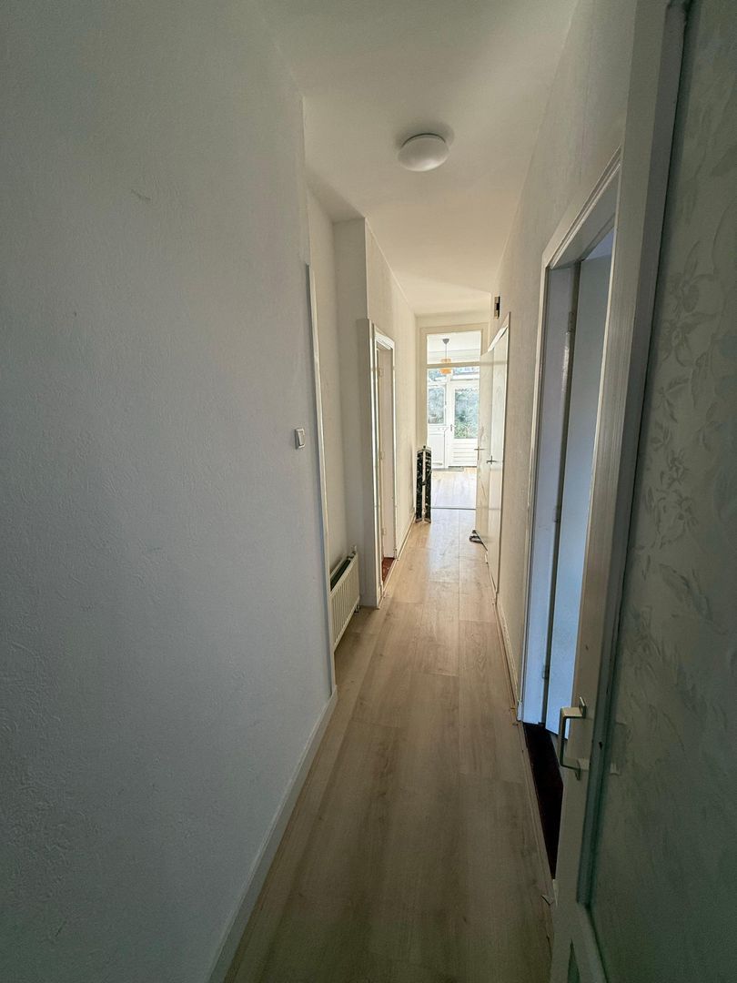 Bosbesstraat, Den Haag foto-1