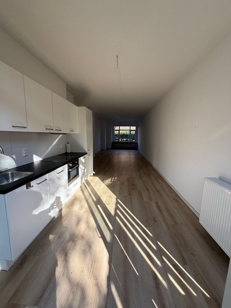 Bosbesstraat, Den Haag foto-3