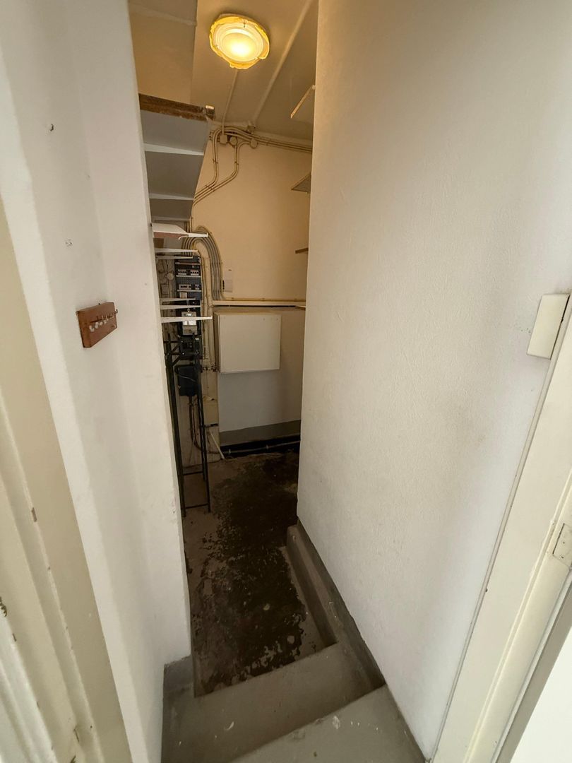 Bosbesstraat, Den Haag foto-12