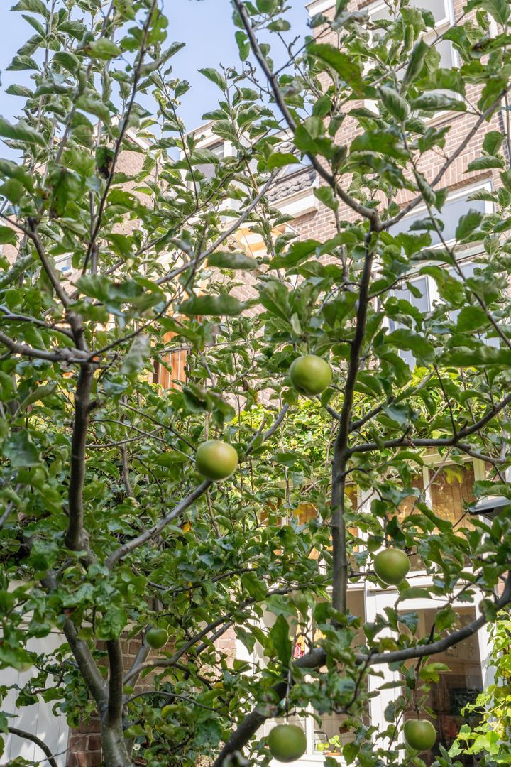 Beeklaan, Den Haag foto-19