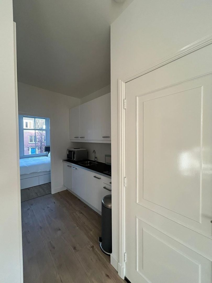 Boomsluiterskade, Den Haag foto-4