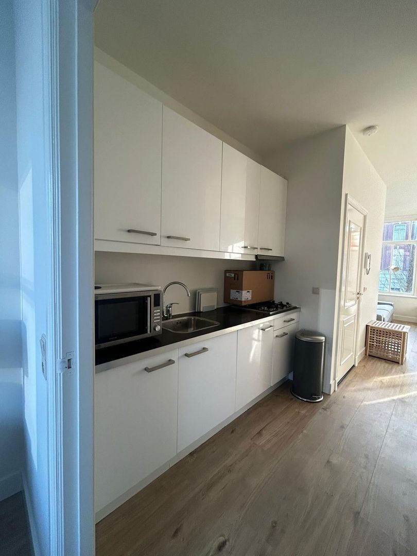 Boomsluiterskade, Den Haag foto-5