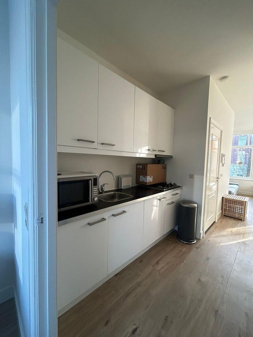 Boomsluiterskade, Den Haag foto-5