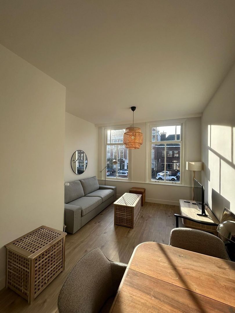 Boomsluiterskade, Den Haag foto-1