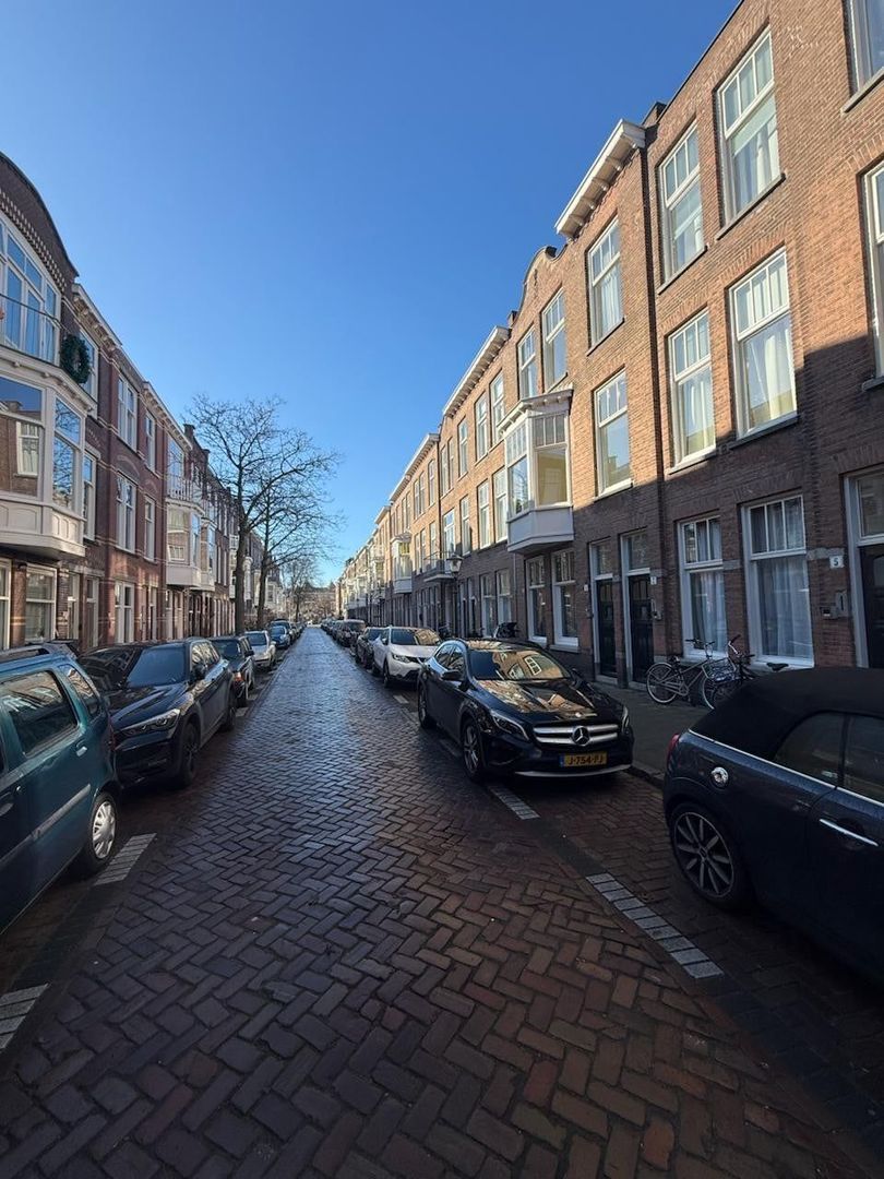 Van Slingelandtstraat, Den Haag foto-1