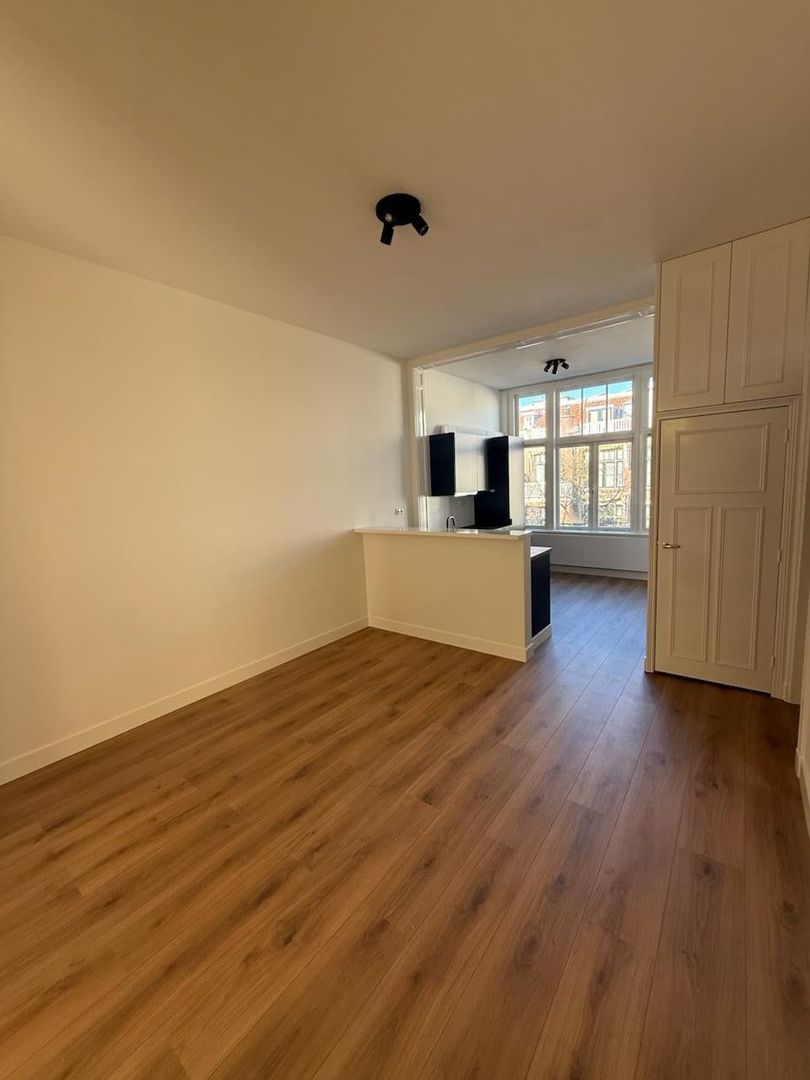 Van Slingelandtstraat, Den Haag foto-2