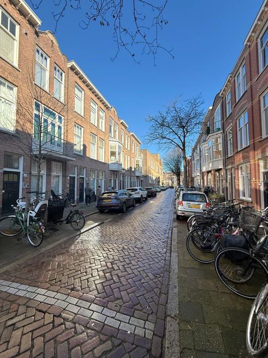 Van Slingelandtstraat, Den Haag