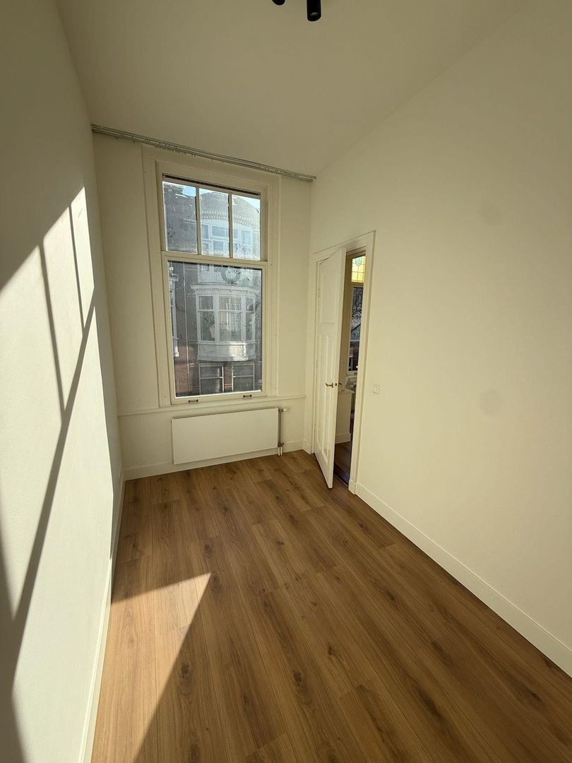 Van Slingelandtstraat, Den Haag foto-11