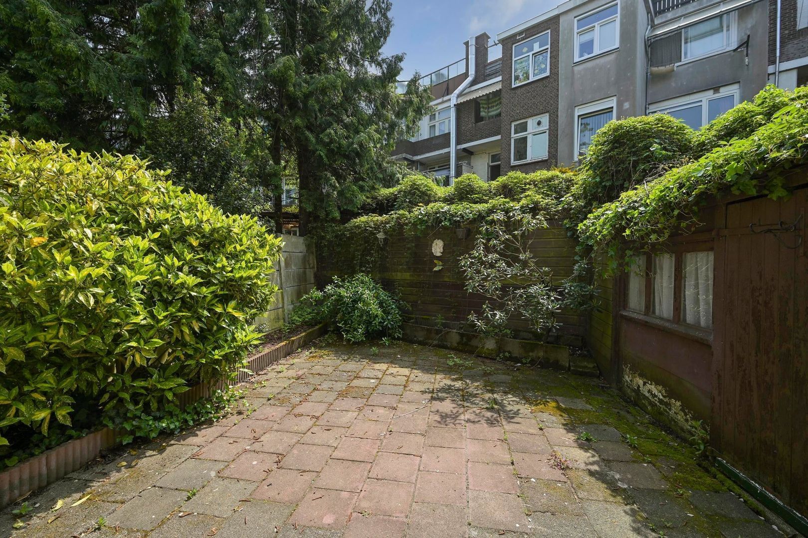 Ermelostraat, Den Haag foto-18