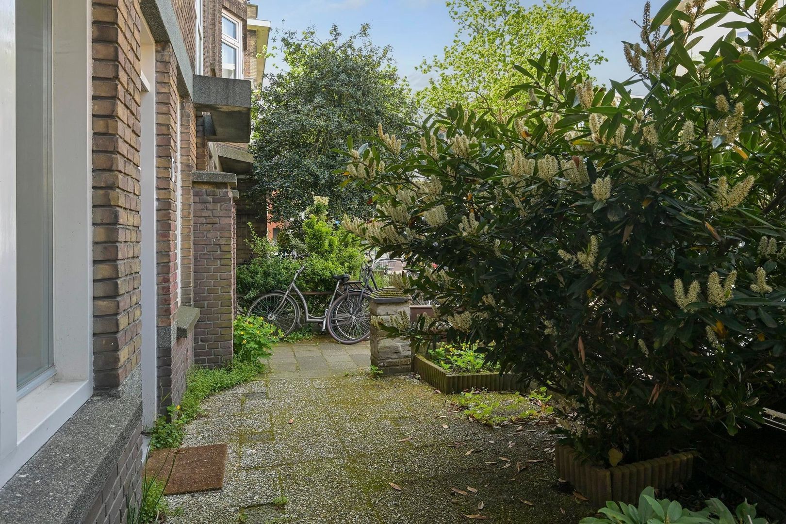 Ermelostraat, Den Haag foto-4