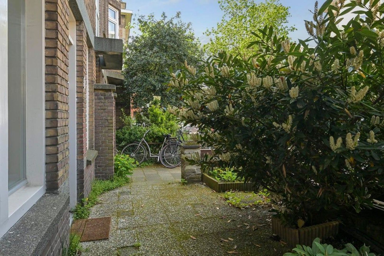 Ermelostraat, Den Haag foto-4