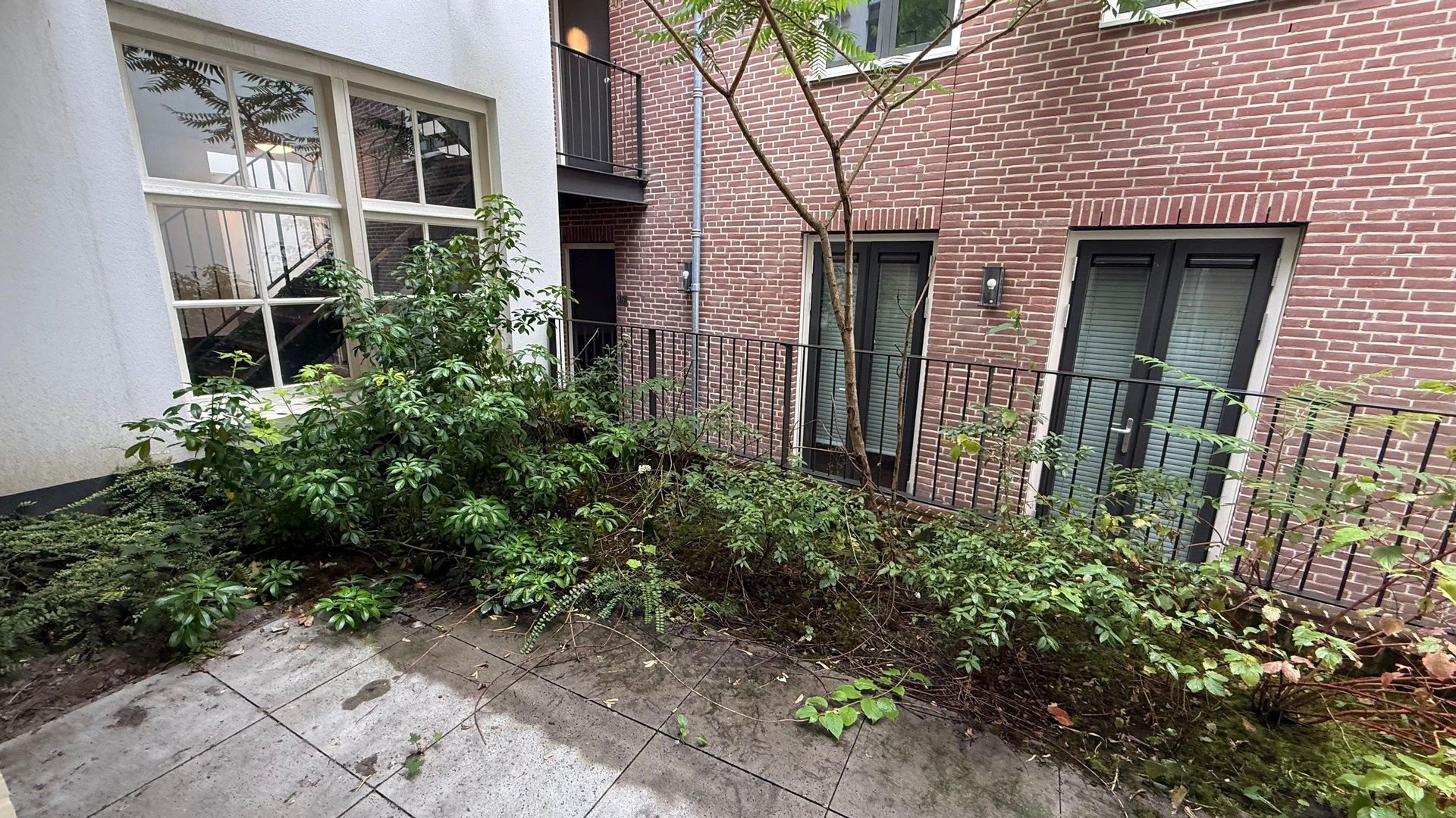 Westeinde, Den Haag foto-14