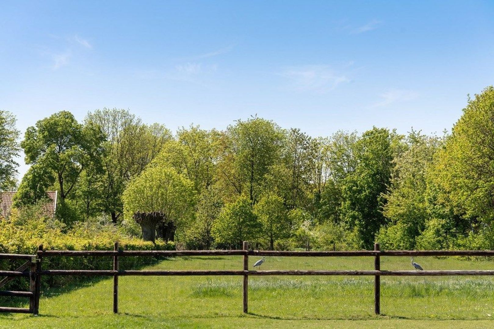Hoogcruts 2, Noorbeek foto-35