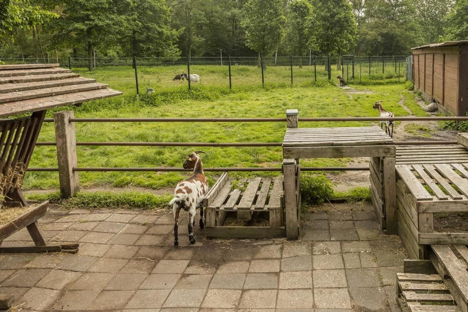 Marco Polostraat 108 H, Amsterdam foto-35