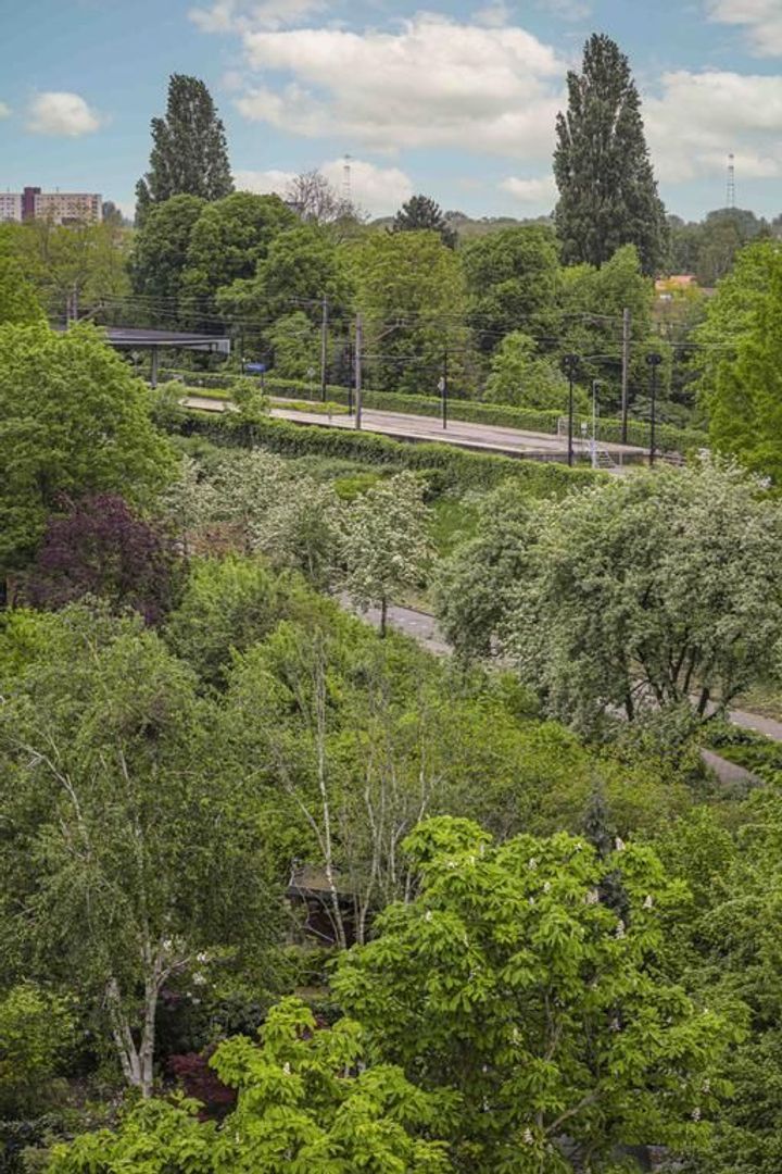 Linnaeusstraat 101 3, Amsterdam foto-19