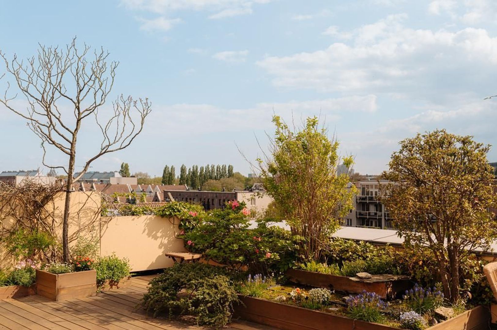 Hoogte Kadijk 37 A, Amsterdam foto-4