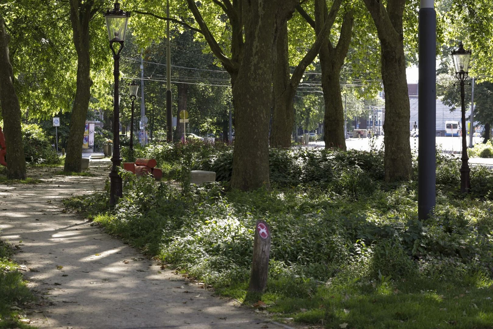 Gillis van Ledenberchstraat 36 F, Amsterdam foto-23