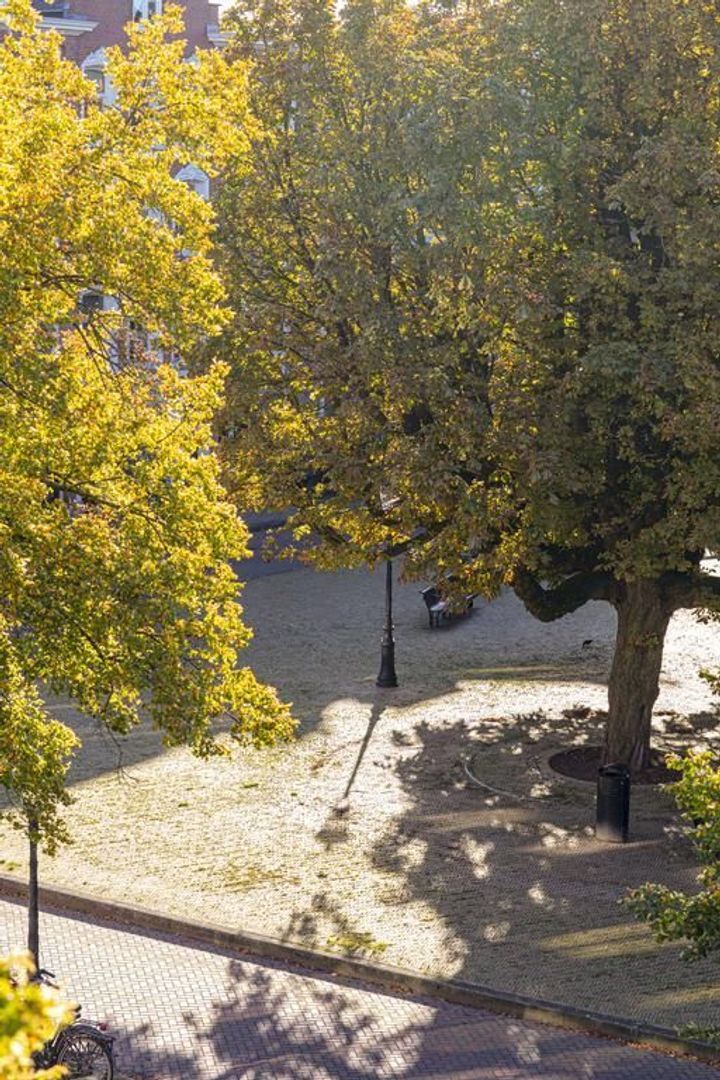 Kastanjeweg 4 2, Amsterdam foto-8