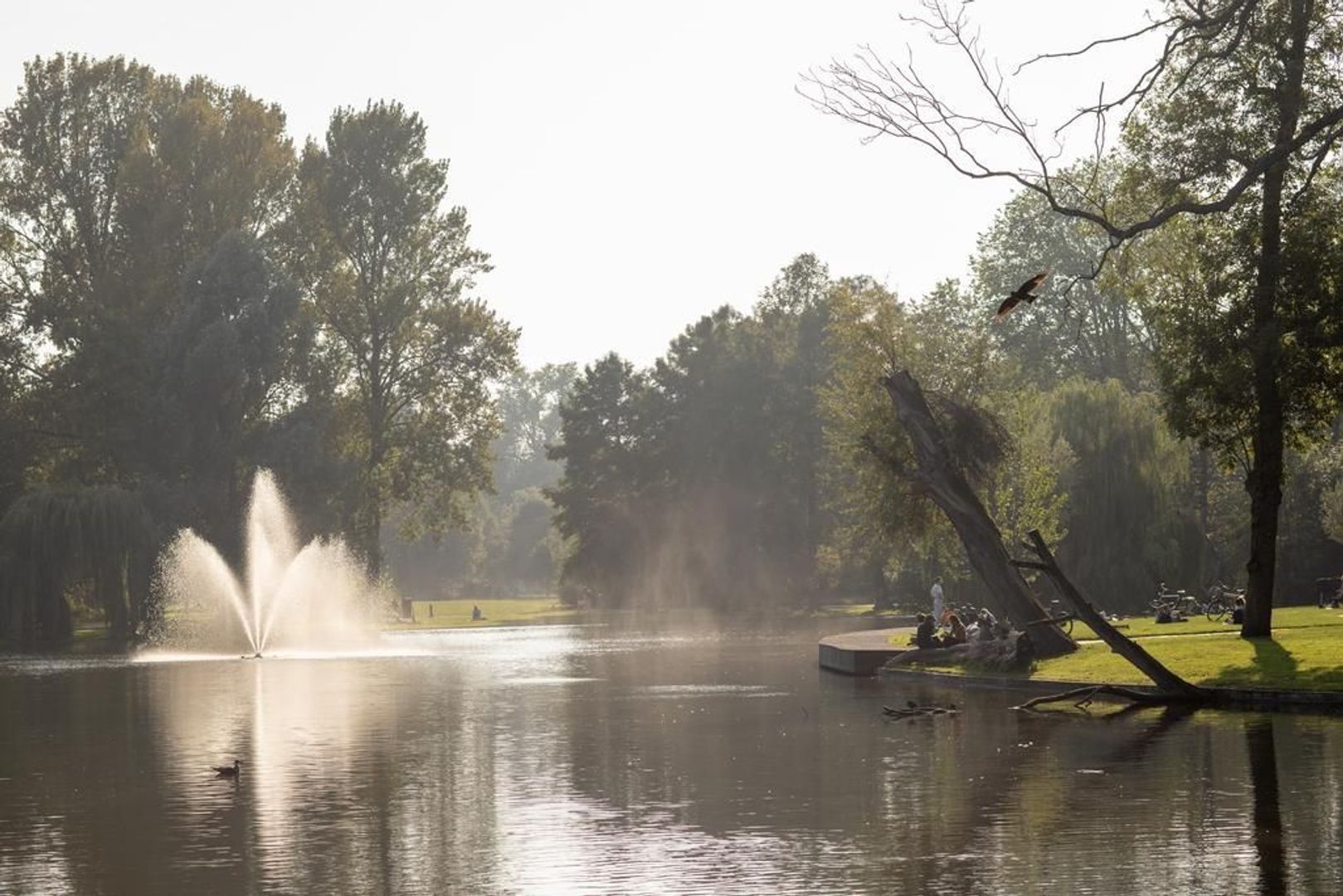 Ruyschstraat 88 H, Amsterdam foto-23
