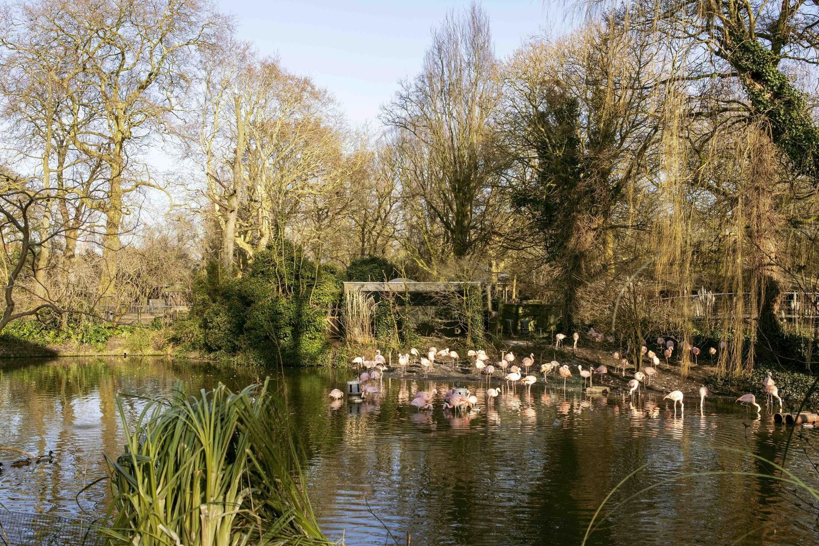 Plantage Badlaan 8 B, Amsterdam foto-22