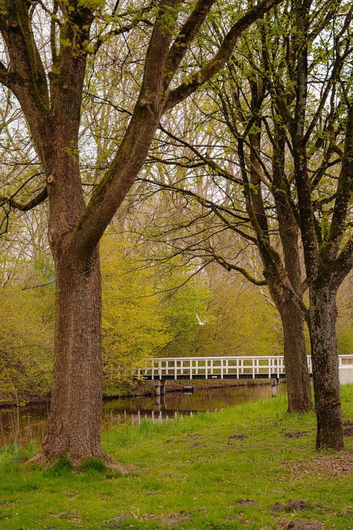 Jisperveldstraat 243, Amsterdam foto-28