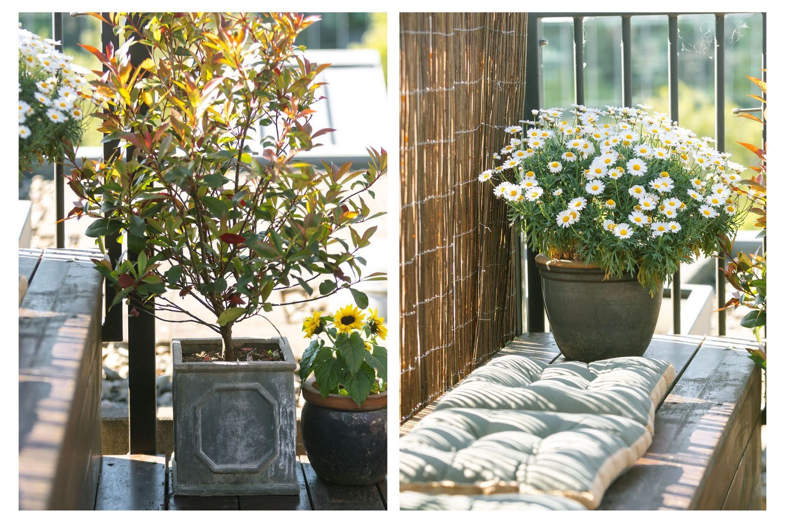 Conradstraat 80 H, Amsterdam foto-24