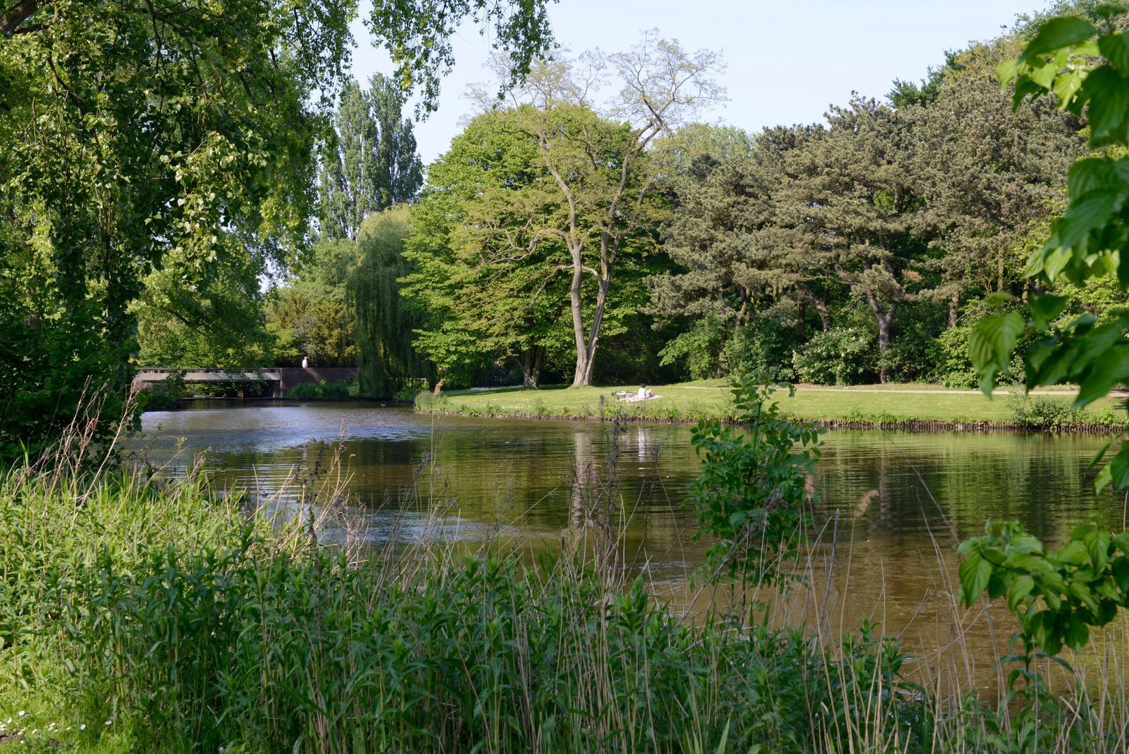 Albrecht Durerstraat 46 1, Amsterdam foto-24