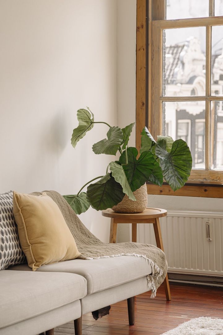 Oudezijds Achterburgwal 149 2V, Amsterdam foto-6