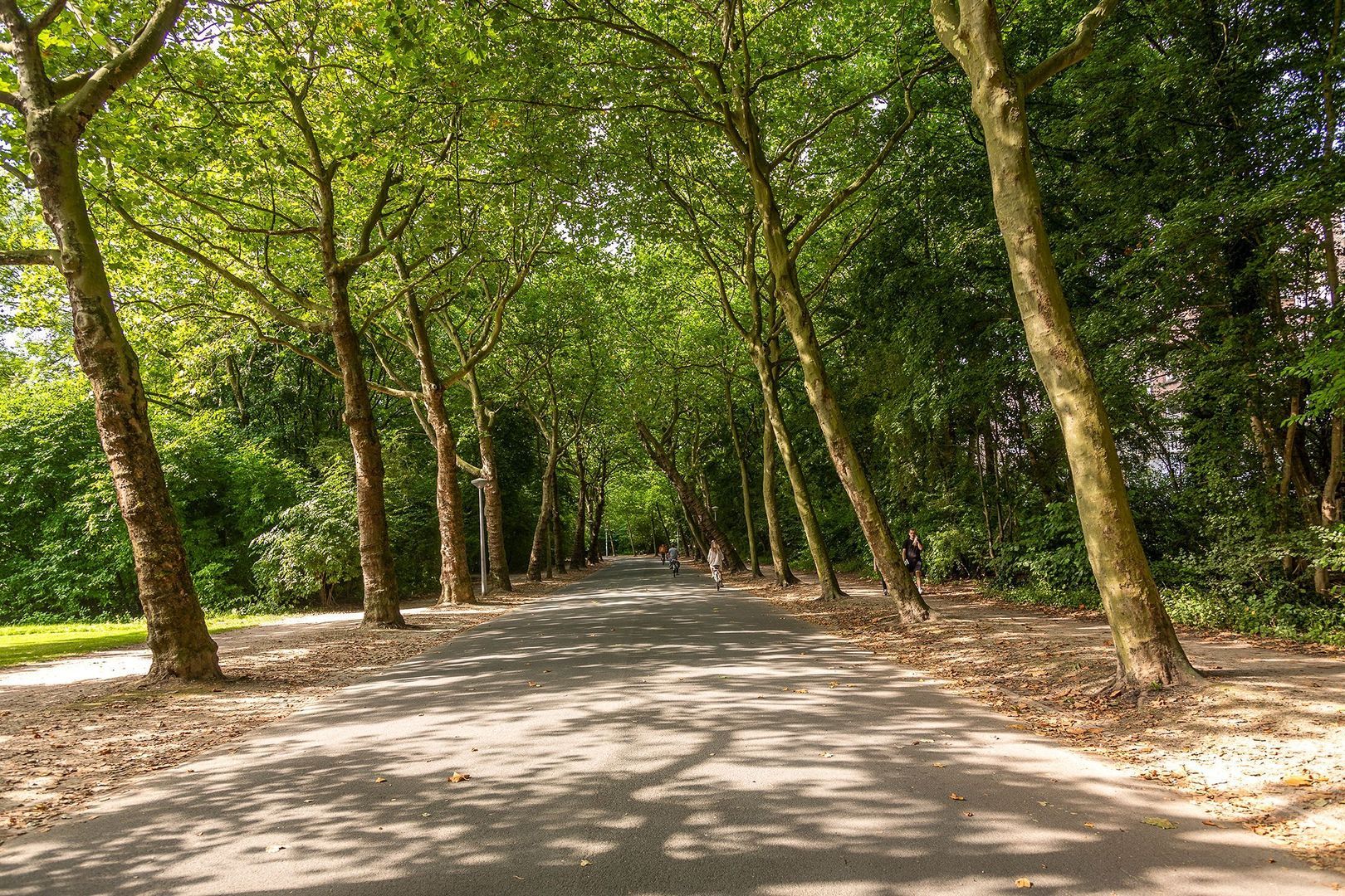 Eerste Helmersstraat 52 2, Amsterdam foto-21