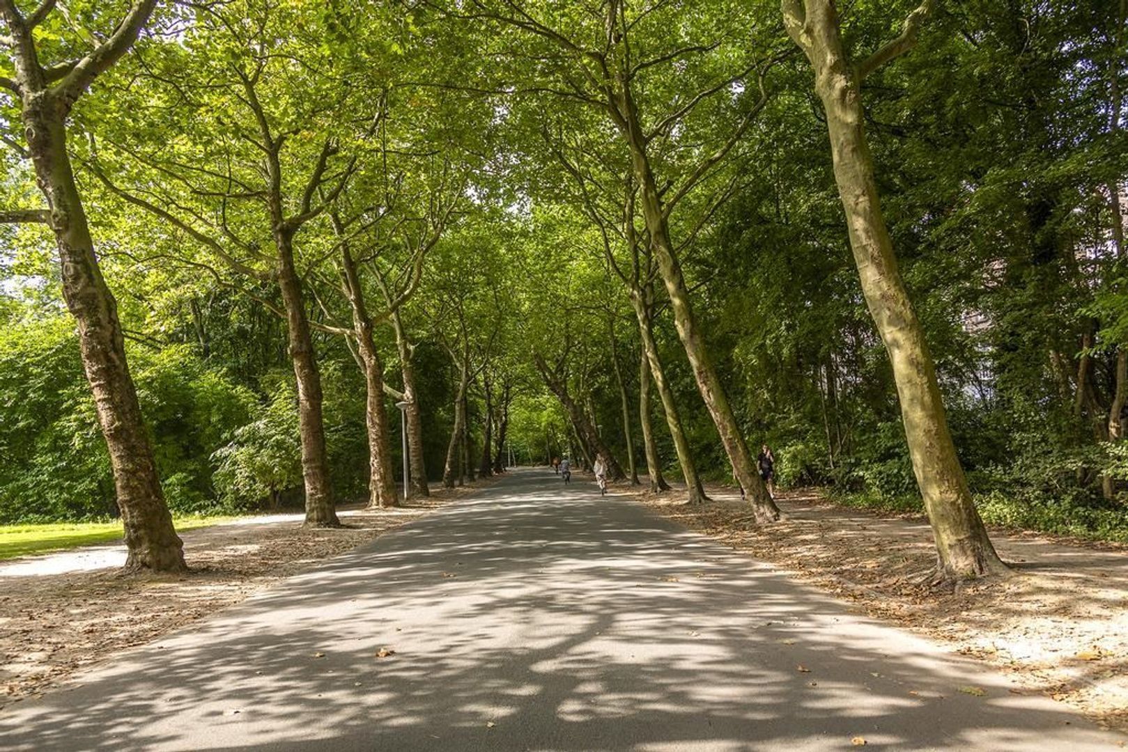 Eerste Helmersstraat 51 3, Amsterdam foto-23