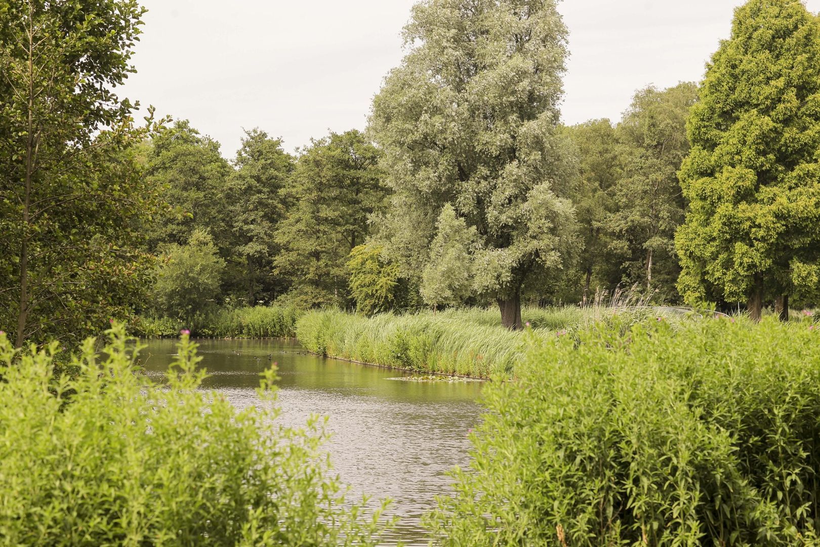 Stuyvesantstraat 33 2, Amsterdam foto-19