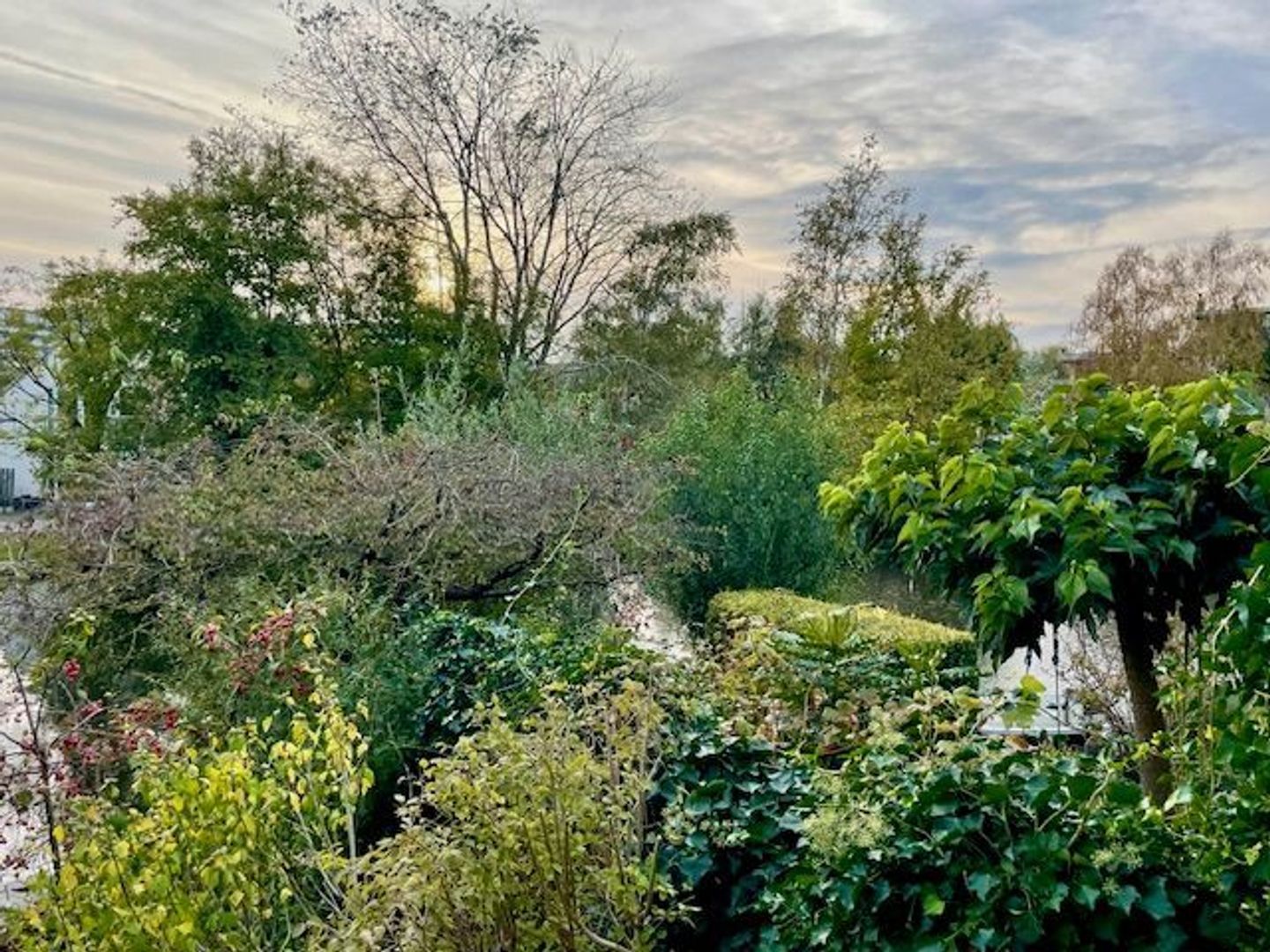 Sandwijk 55, Amsterdam foto-49