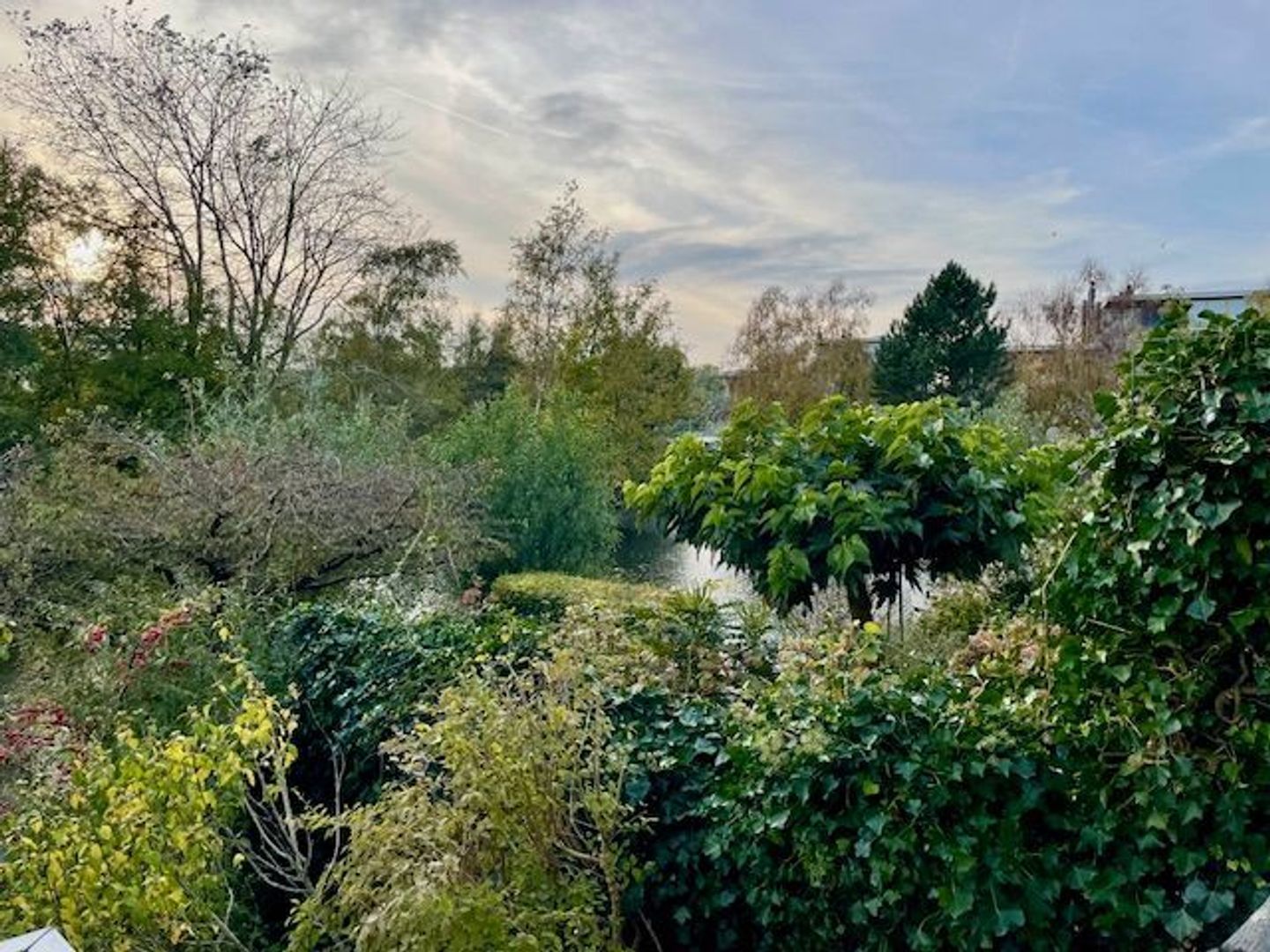 Sandwijk 55, Amsterdam foto-48