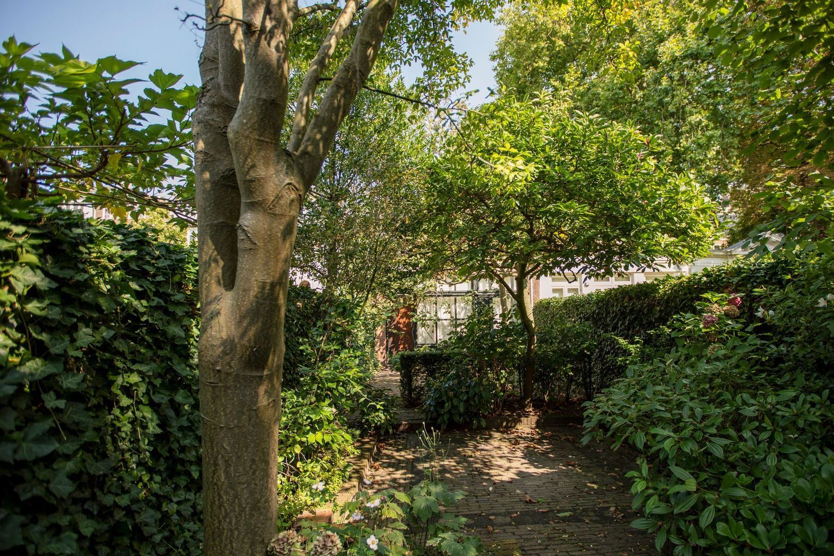 Keizersgracht 445 A, Amsterdam foto-8