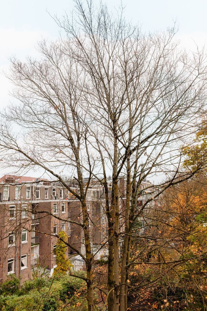 Ferdinand Bolstraat 141 3, Amsterdam foto-17