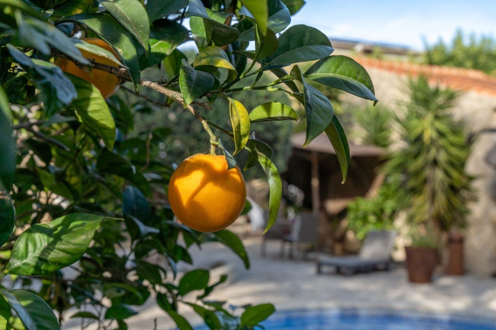 4800, Jávea foto-40