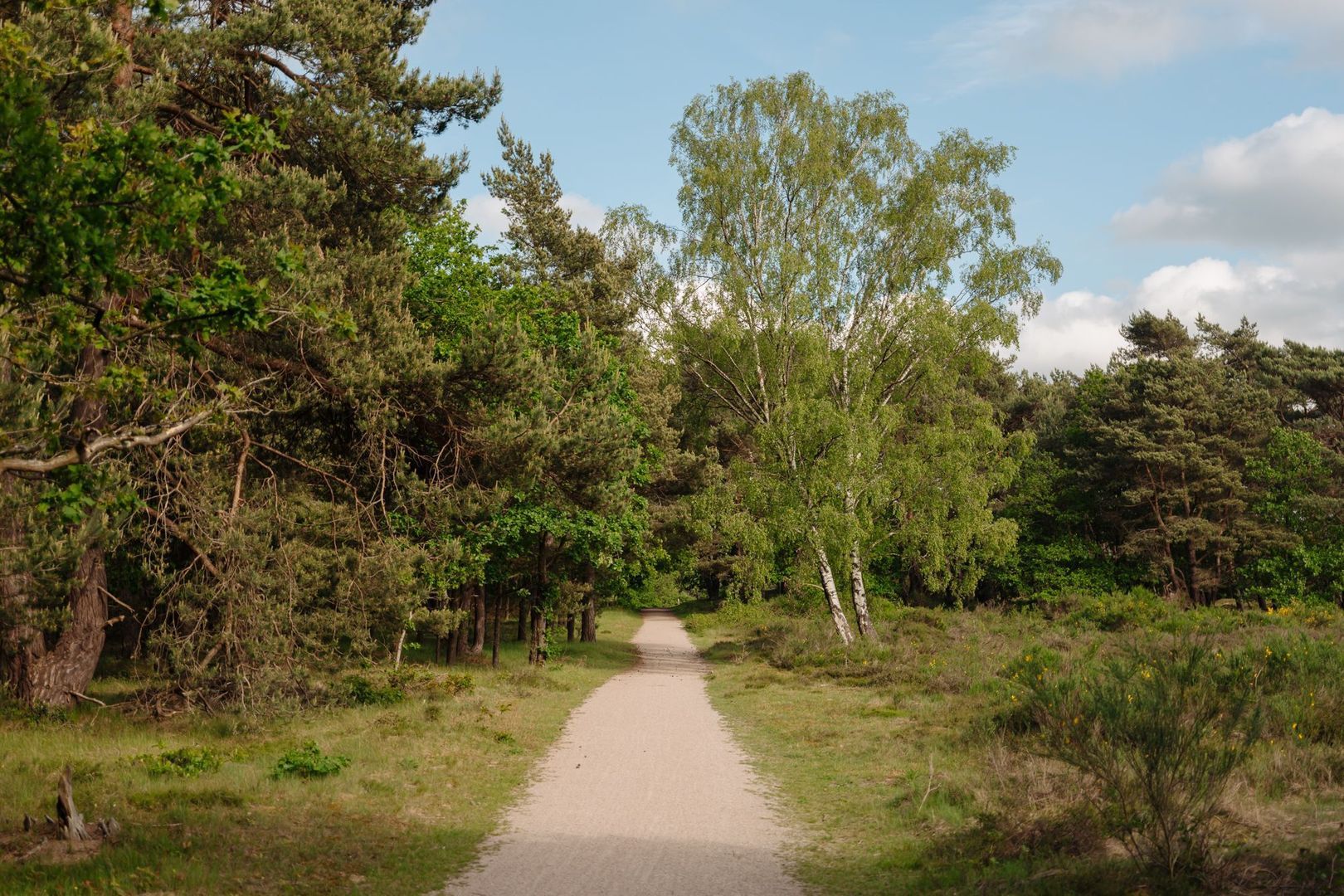 Crailoseweg 36, Huizen foto-58