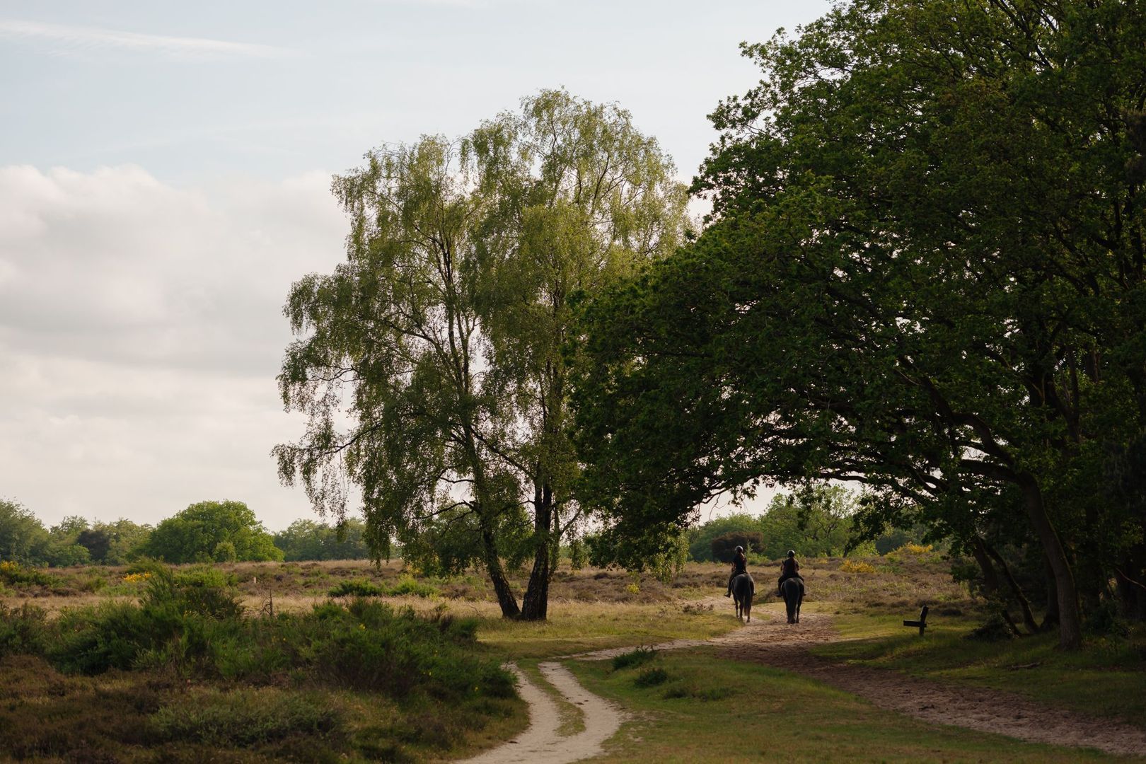 Crailoseweg 36, Huizen foto-59