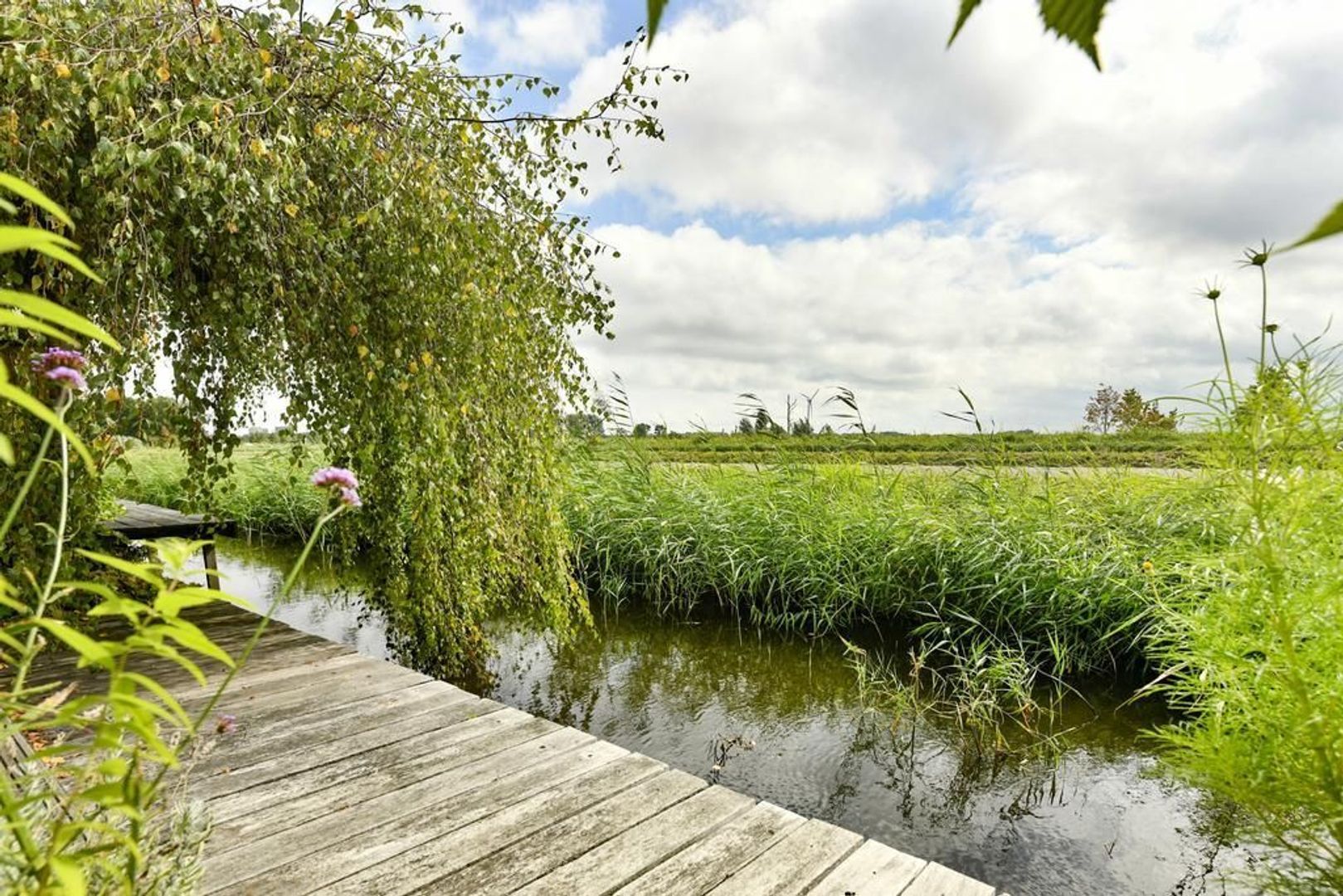 Overweg 165, Ouderkerk Aan De Amstel foto-20 blur