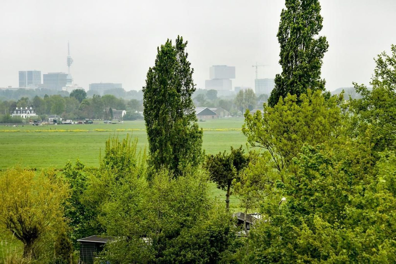 Frans Hals 13, Ouderkerk Aan De Amstel foto-17 blur